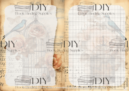Bird Cage - Journal Paper - Image 5