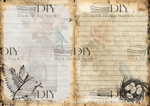 Bird Cage - Journal Paper - Image 2